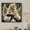 Rococo Garden Lady Special Shaped DIY Partial Drill Diamond Painting Kit for Adults Beginners Home Decor Diamonds Paintings Gem Art 30x30cm