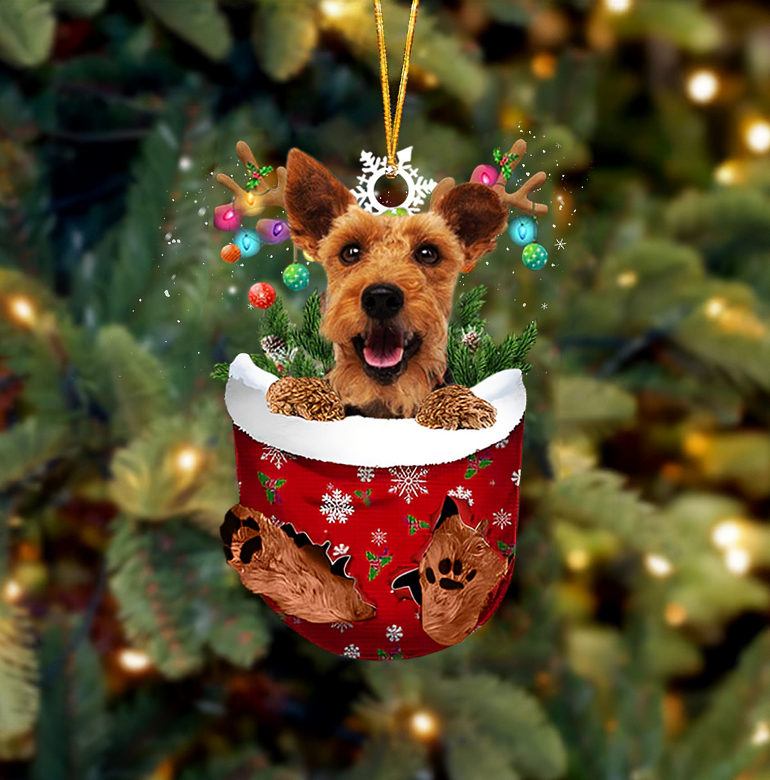 Welsh Terrier In Snow Pocket Christmas Ornament.