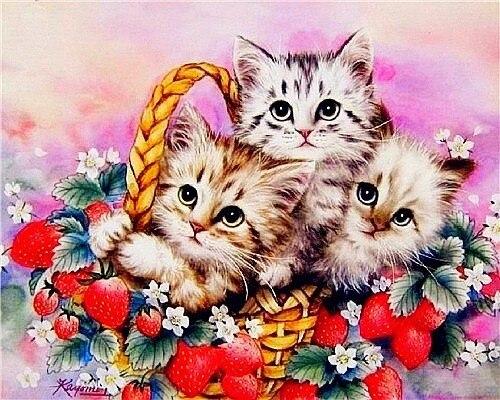 

Kittens in Basket – Paint By Numbers - 40*50CM, 501 Original