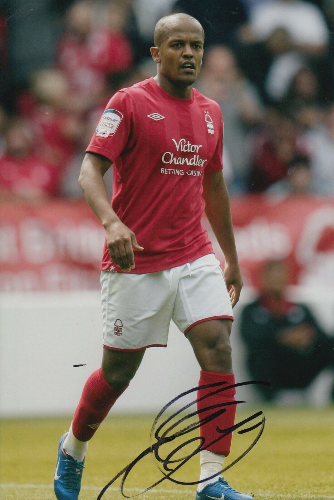 Robert Earnshaw Hand Signed 12x8 Photo Poster painting - Nottingham Forest Autograph.