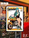 Motorcycle Bulma Decorative Painting - Dragon Ball - BLK Studio