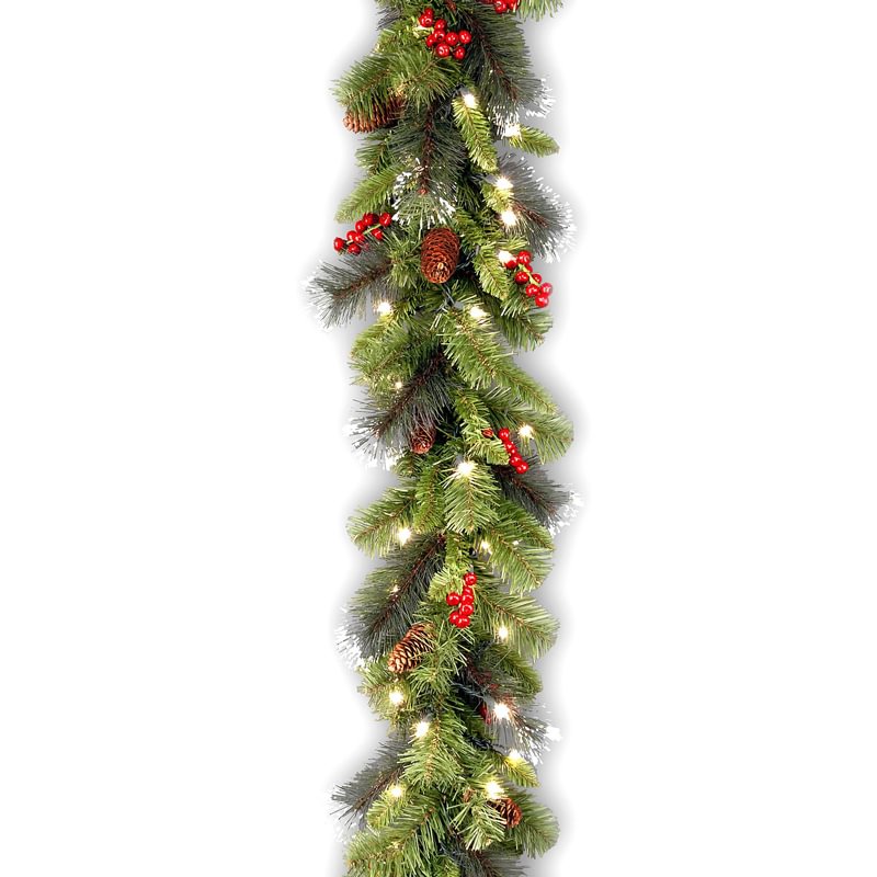 Outdoor Pre-lit Electrical Outlet 9-ft Spruce Garland with White Incandescent Lights