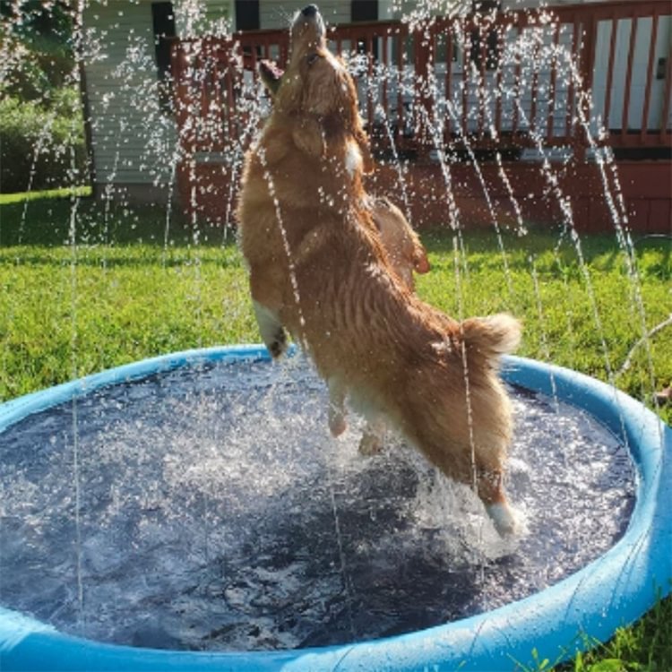 Summer Hot Sale- Water Spray Mat