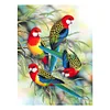 Colorful Birds-Partial Round Diamond Painting