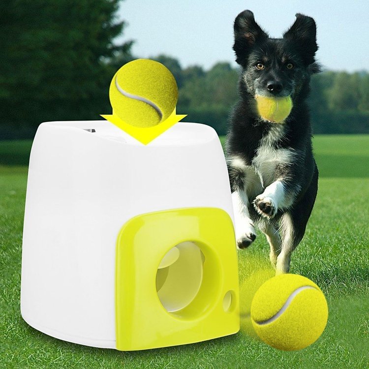Automatic Dog Tennis Ball Launcher