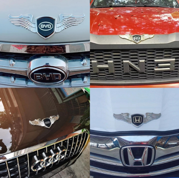 Stainless Steel Metal Car Logo On Car Hood