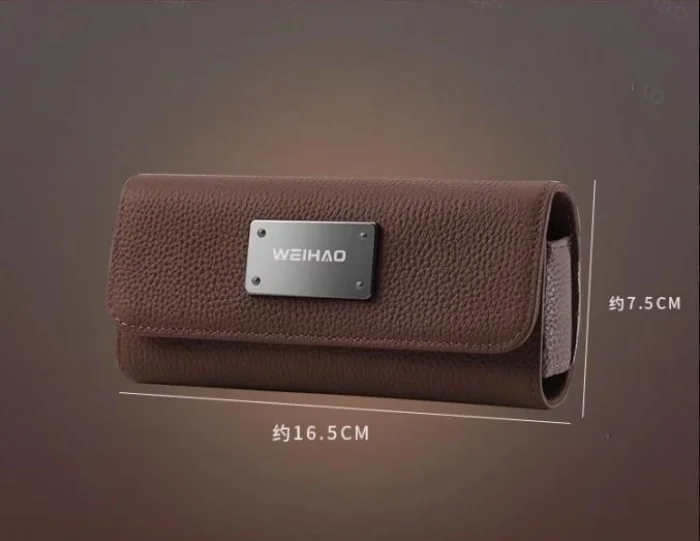 Car sun visor glasses case