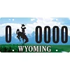 50 U.S. States - Car License(6*12Inch) - Garage