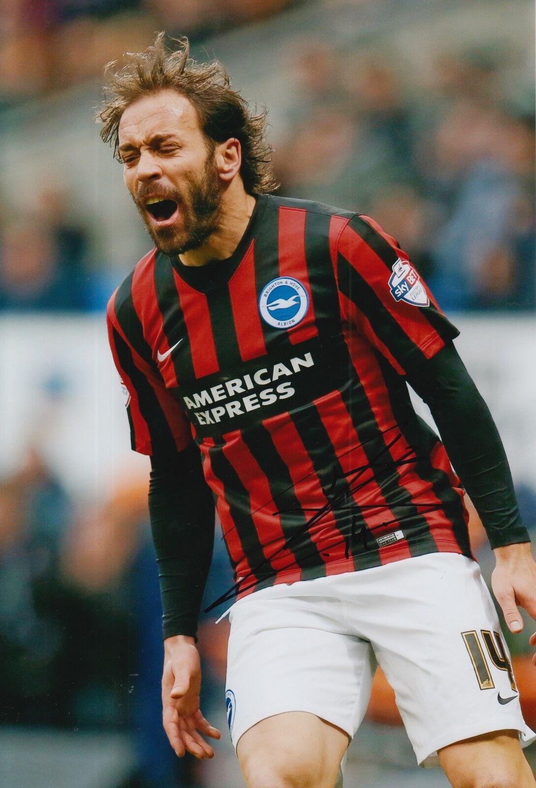 BRIGHTON & HOVE ALBION HAND SIGNED INIGO CALDERON 12X8 Photo Poster painting 2.