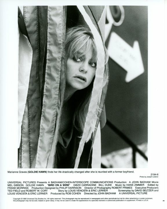 Goldie Hawn Bird on a Wire Original Press 8X10 Photo Poster painting