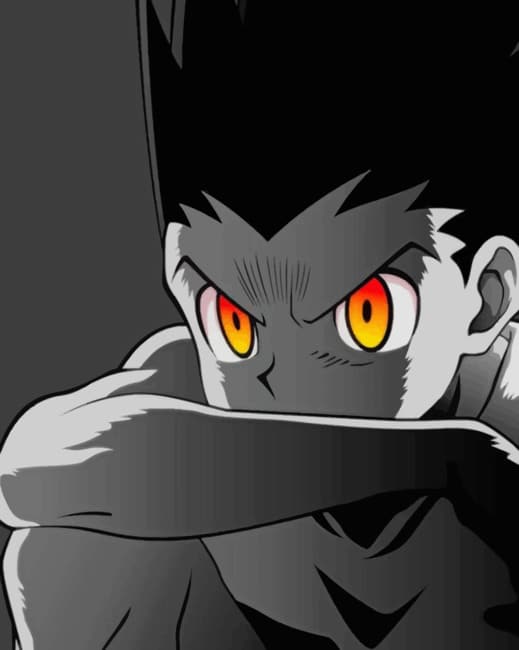 

Hunter X Hunter – Paint By Numbers - 40*50CM, 501 Original