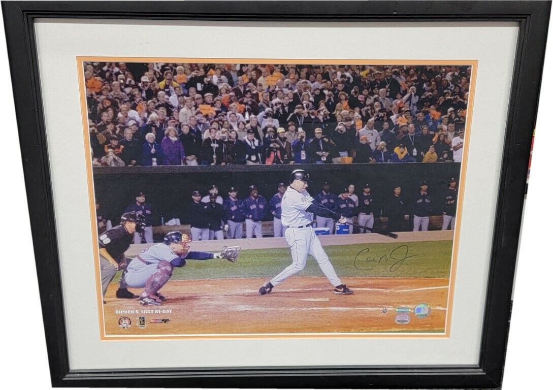 Cal Ripken Jr Hand Signed 16x20 Custom Framed Photo Poster painting Steiner Holo Light Signature