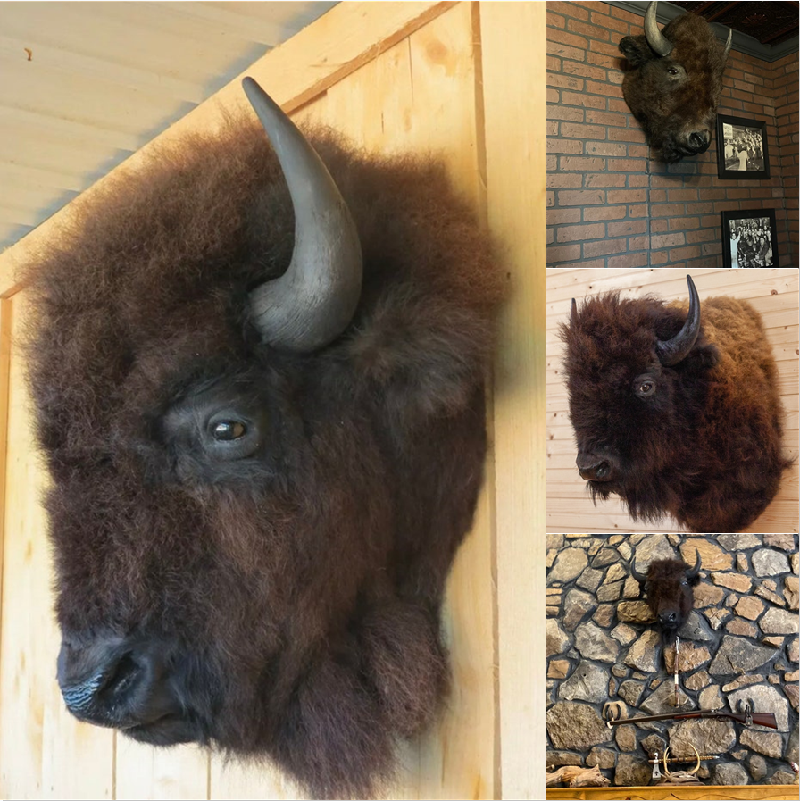 🎅CHRISTMAS PRE-SALE 48% OFF -Taxidermy Bison Head Decorative Arts