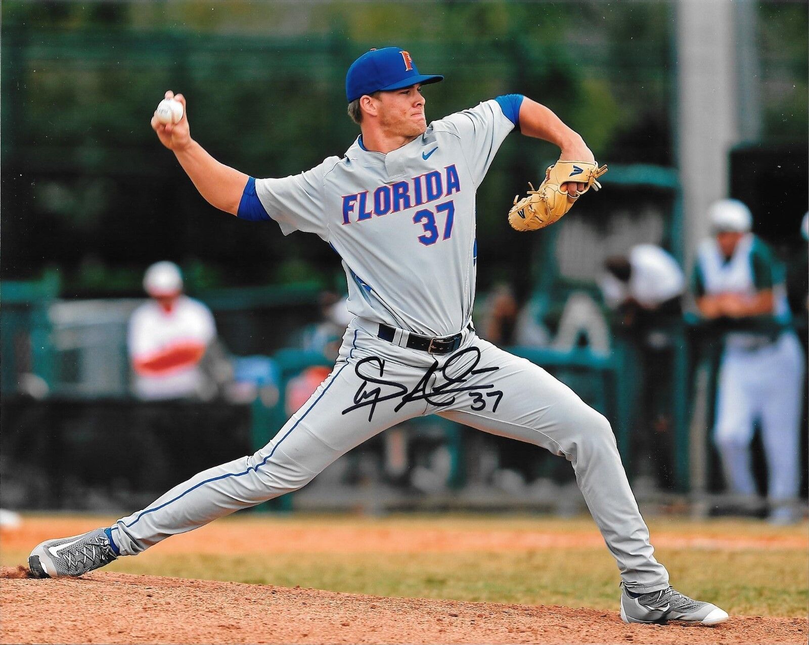 BOSTON RED SOX SHAUN ANDERSON HAND SIGNED FLORIDA GATORS 8X10 Photo Poster painting W/COA