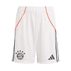 Bayern Munich Away Jerseys Kit 2025/26