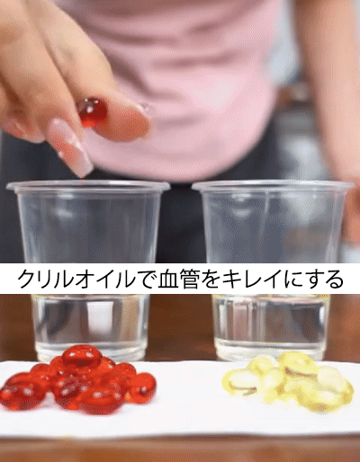 南极磷虾油胶囊_04.gif
