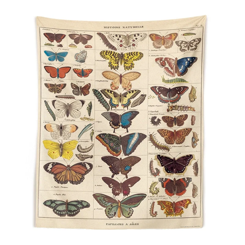 Butterfly Illustration Chart Tapestry Vintage Tapestries Aesthetic Tapestry Chart Tapestry Colorful Tapestry Wall Hanging