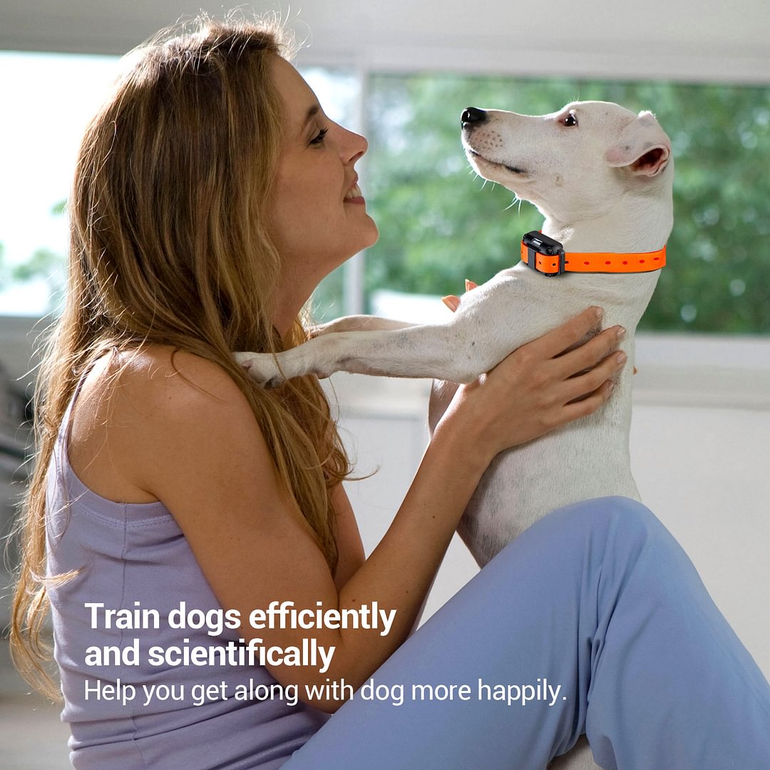 BEBANG Dog Training Collars, Dog Shock Collar with Remote 2600 feet, 4