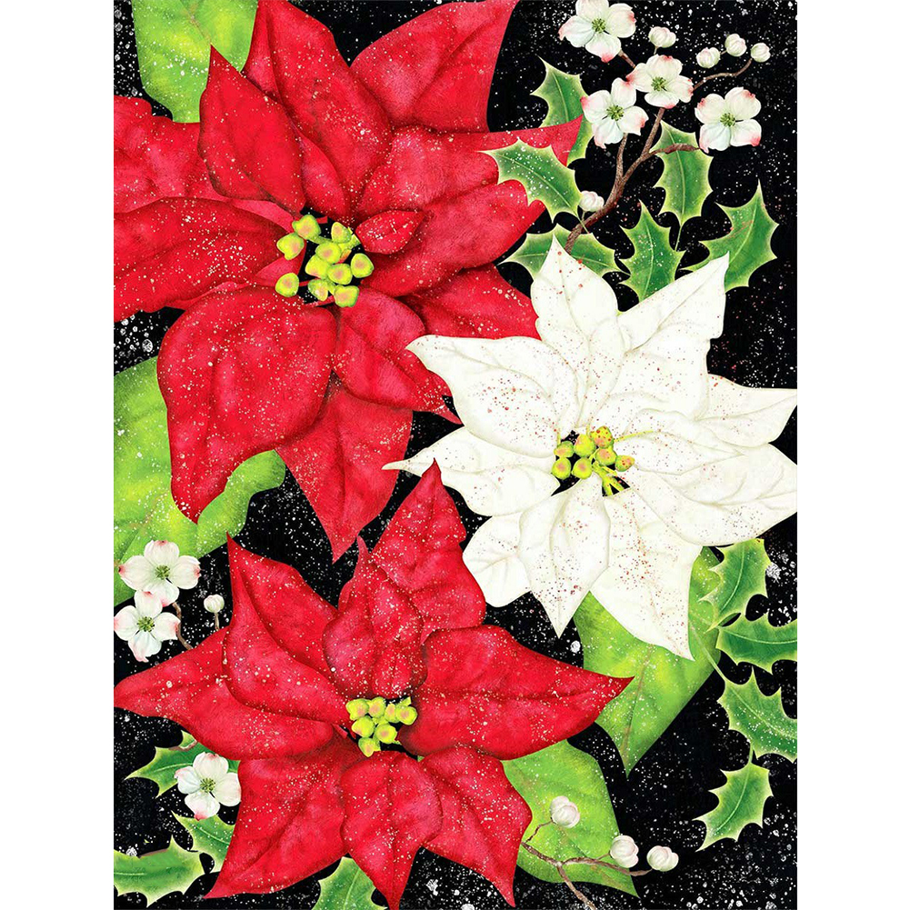 

Multi-Size) Poinsettia - /Square Drill Diamond Painting, 30x40, 501 Original