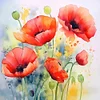 Painting By Numbers-Poppy(40*40CM)
