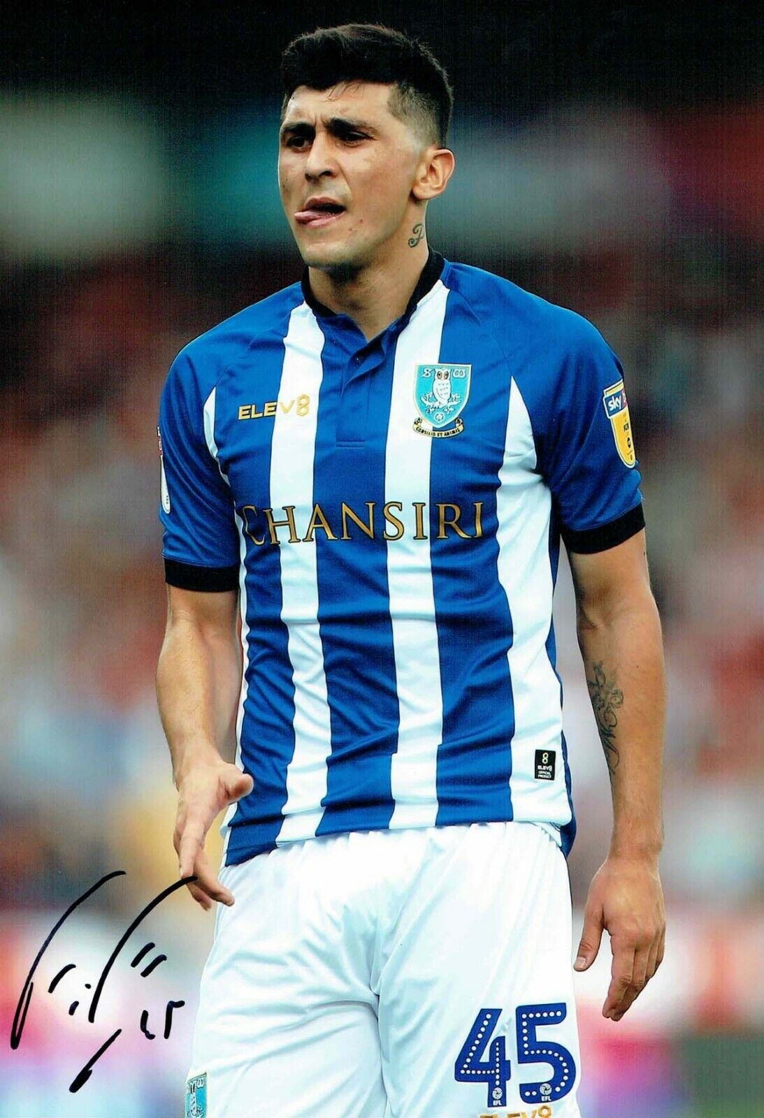 Fernando FORESTIERI Sheffield Wednesday SWFC SIGNED 12x8 Photo Poster painting 4 AFTAL COA