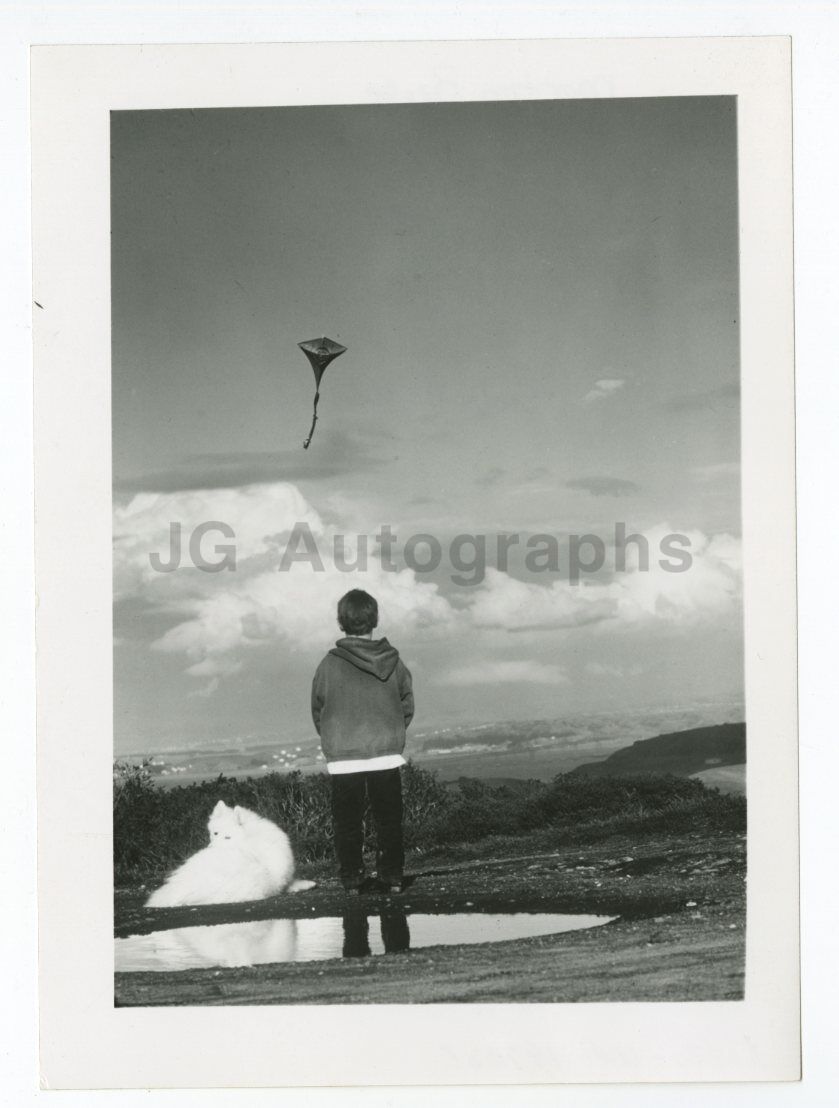 Kite Flying - Mill Valley, CA - Vintage 5x7 Glossy Photo Poster painting by Morton Beebe