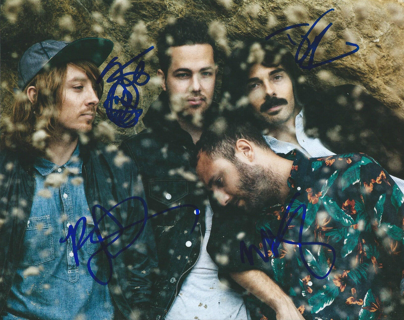 **GFA Indie Rock Band *LOCAL NATIVES* Signed 8x10 Photo Poster painting MH4 COA**