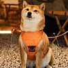 Automatic Retractable Dog Walking Harness