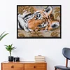 Tiger-14CT Stamped Cross Stitch Kit(29*21cm)