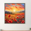 Fleur de coquelicot-plein rond diamant peinture-30 * 30cm