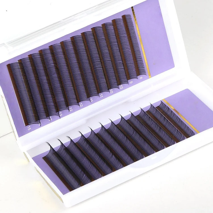 Wet Look Eyelash Extensions 0.07mm Black | 12 Rows | 6&ndash;12mm Mixed Length | Korean PBT