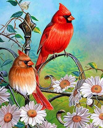

Red Sparrows – Paint By Numbers - 40*50CM, 501 Original
