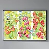 Bee-Snail-Berry-14CT Stamped Cross Stitch 44*32cm/17.32*12.6in