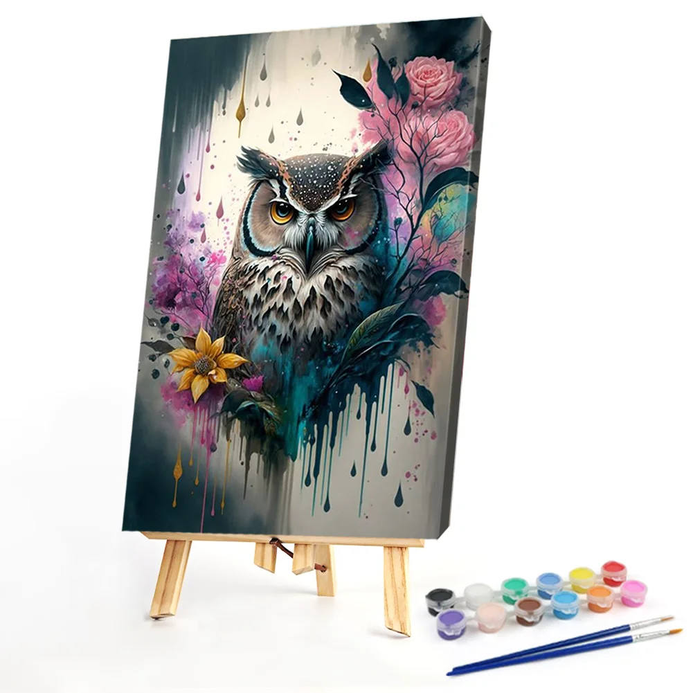 Owl - Paint By Number(40*60cm)