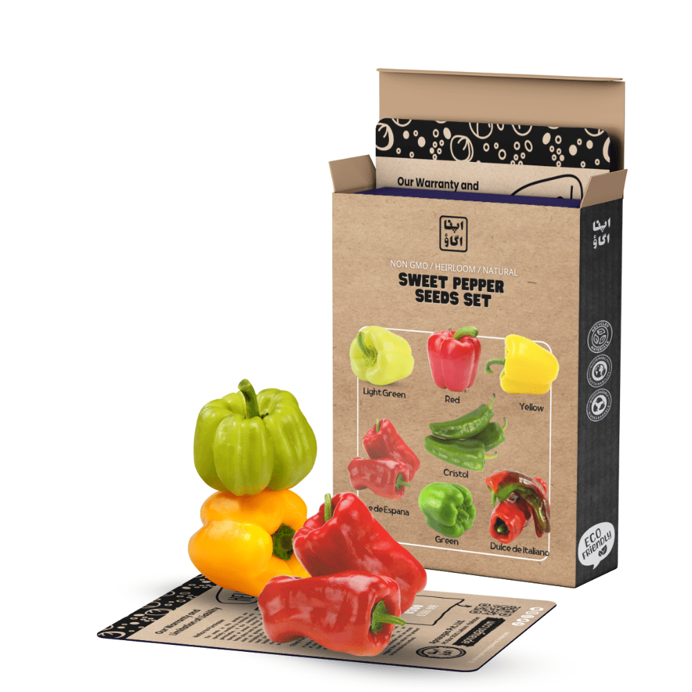 Sweet Bell Pepper Seeds Set &ndash; Red, Yellow, Green & Orange