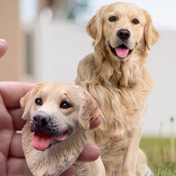 Petories Fridge Legends: Custom Pet Magnets Celebrating Their Inner Superstar