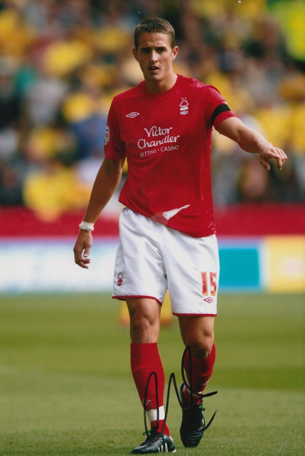 Chris Cohen Hand Signed 12x8 Photo Poster painting - Nottingham Forest - Football Autograph 1.