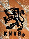 Joyfball 1988 Retro Netherlands National Team Home Football Shirt