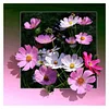 Pink Flowers - Full Round Drill Diamond Painting