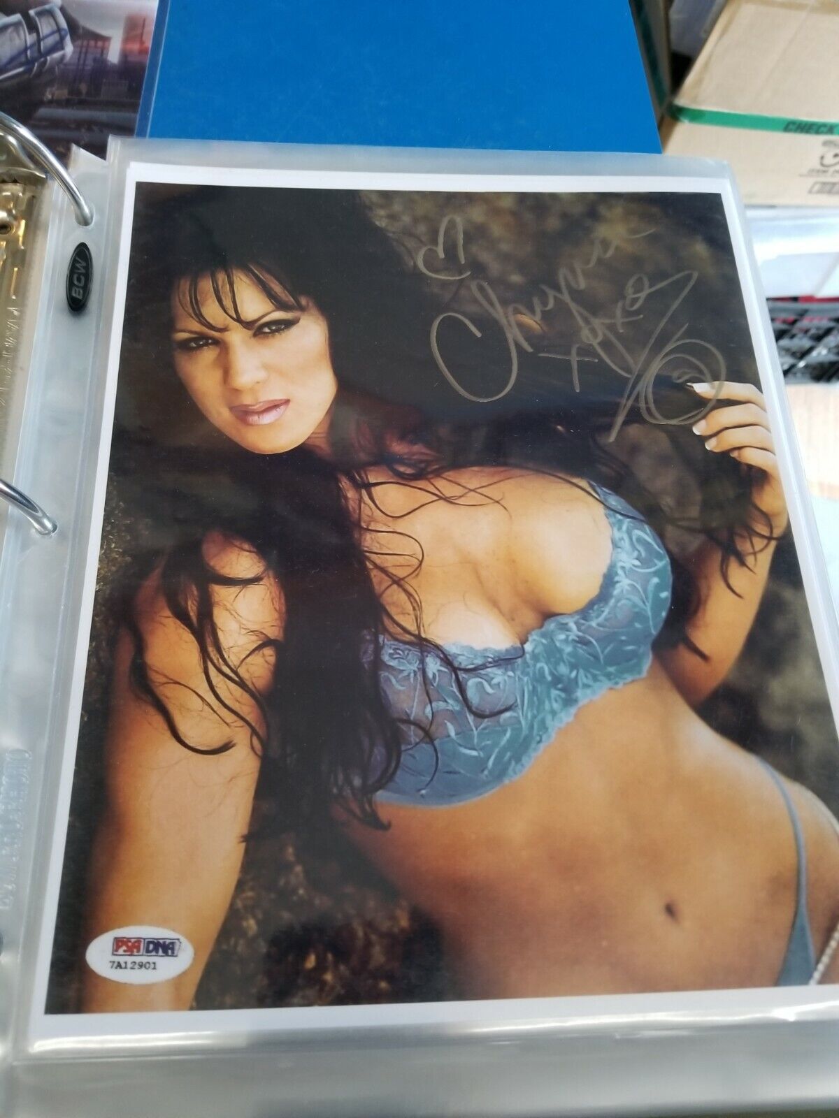 Chyna Signed 8x10 Photo Poster painting RP -  Shipping!! WWE Diva