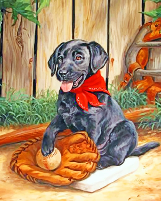 

Black Dog – Paint By Numbers - 40*50CM, 501 Original