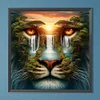 Tiger - Rundbohrer Diamant Malerei - 40 * 40cm