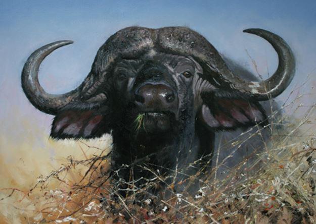 

Black Buffalo – Paint By Numbers - 40*50CM, 501 Original