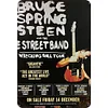 Bruce Springsteen - Vintage Metal Signs(12*16Inch) - Music