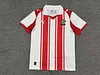 Joyfball 2025/2026 Southampton Home Football Shirt 1:1 Thai Quality