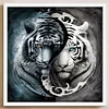 Tiger-11CT Stamped Cross Stitch Kit(40*40cm)
