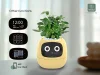 LVY Expression Control Intelligent Small Flower Pot Desktop Planter APP Monitoring Sensor Expression Demand Interactive LCD Screen