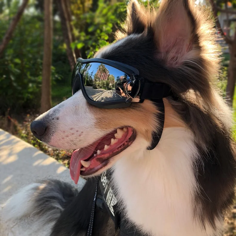 Dog Goggles Waterproof Windproof Dog Sunglasses Sunscreen Anti-UV