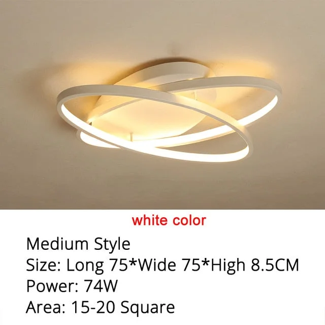 Oval Led Ceiling Lights Luminaire Plafonnier For Living Room Kitchen Bedroom Lampen Modern Light Fixtures Verlichting