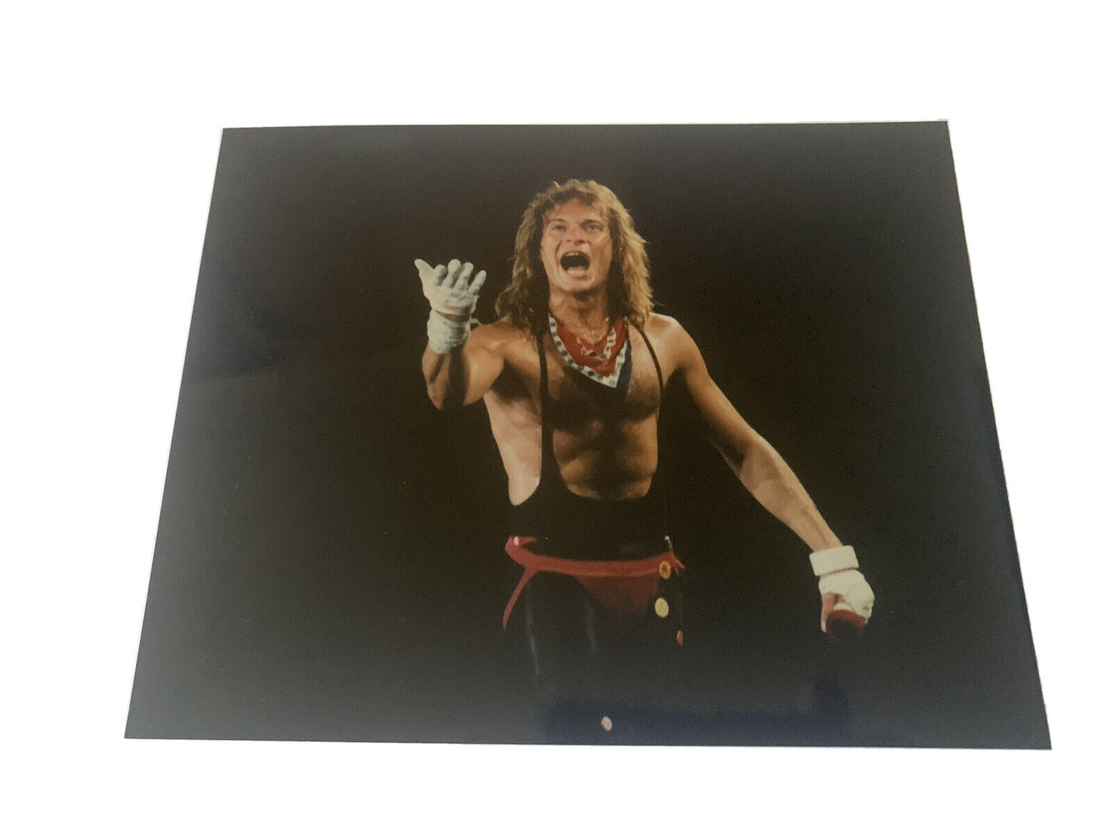 David Lee Roth Van Halen Vintage Live 8x10 Concert Photo Poster painting #7